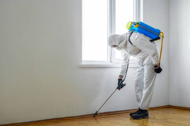 Wasp Removal Services in Marianna, FL